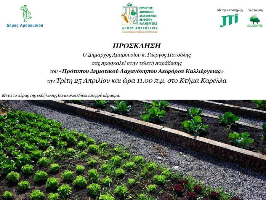 Μαρούσι: Παράδοση πρότυπου δημοτικού λαχανόκηπου αειφόρου καλλιέργειας  | iefimerida.gr 0