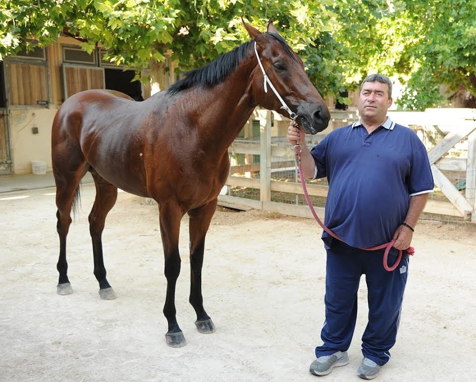 71ο Ελληνικό Ντέρμπι ΟΠΑΠ: Ποια είναι τα καθαρόαιμα που διεκδικούν τον τίτλο του καλύτερου ίππου της χρονιάς [εικόνες & βίντεο] | iefimerida.gr 0