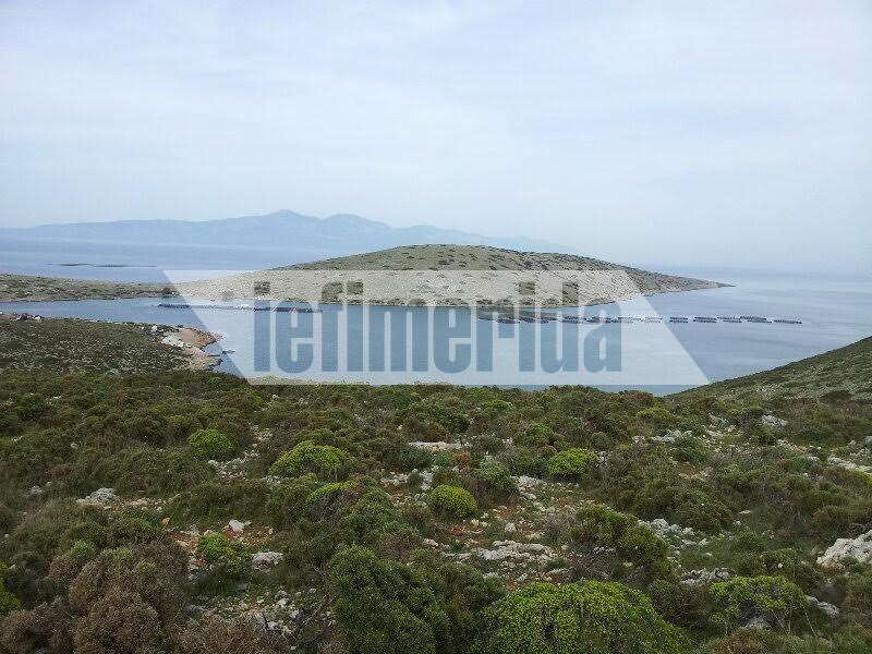 Αγαθονήσι: Κραυγή αγωνίας για τις ιχθυοκαλλιέργειες – «Να μείνει ζωντανή η επιχείρηση» | iefimerida.gr 2