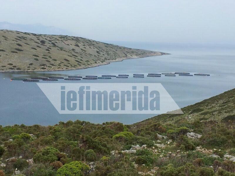 Αγαθονήσι: Κραυγή αγωνίας για τις ιχθυοκαλλιέργειες – «Να μείνει ζωντανή η επιχείρηση» | iefimerida.gr 3