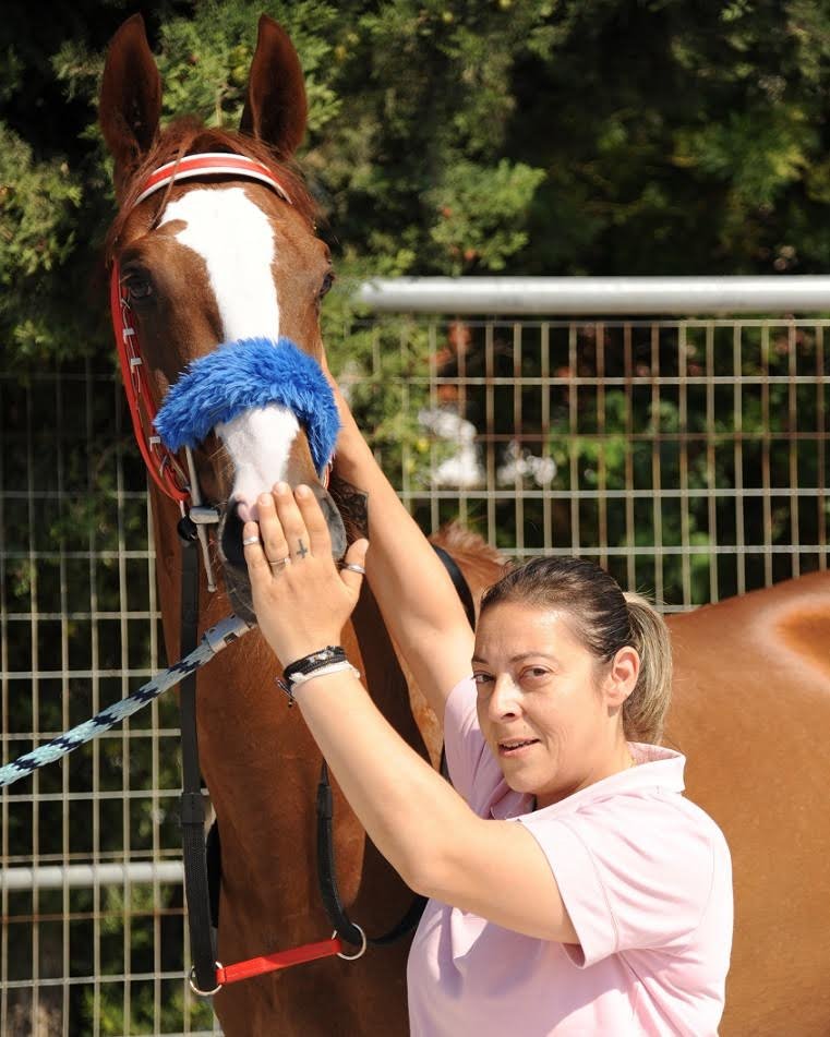 71ο Ελληνικό Ντέρμπι ΟΠΑΠ: Ποια είναι τα καθαρόαιμα που διεκδικούν τον τίτλο του καλύτερου ίππου της χρονιάς [εικόνες & βίντεο] | iefimerida.gr 4