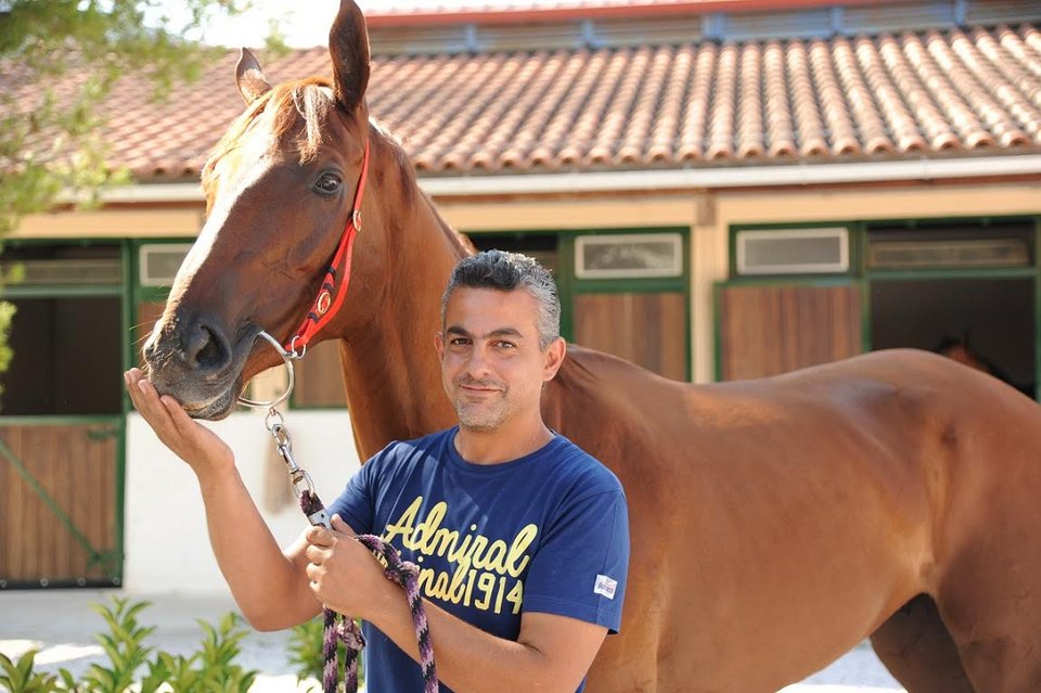 71ο Ελληνικό Ντέρμπι ΟΠΑΠ: Ποια είναι τα καθαρόαιμα που διεκδικούν τον τίτλο του καλύτερου ίππου της χρονιάς [εικόνες & βίντεο] | iefimerida.gr 6