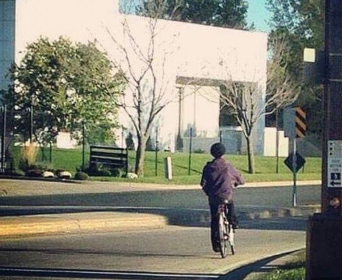 Prince: Τα προφητικά του λόγια λίγο πριν πεθάνει [εικόνα & βίντεο] | iefimerida.gr 0