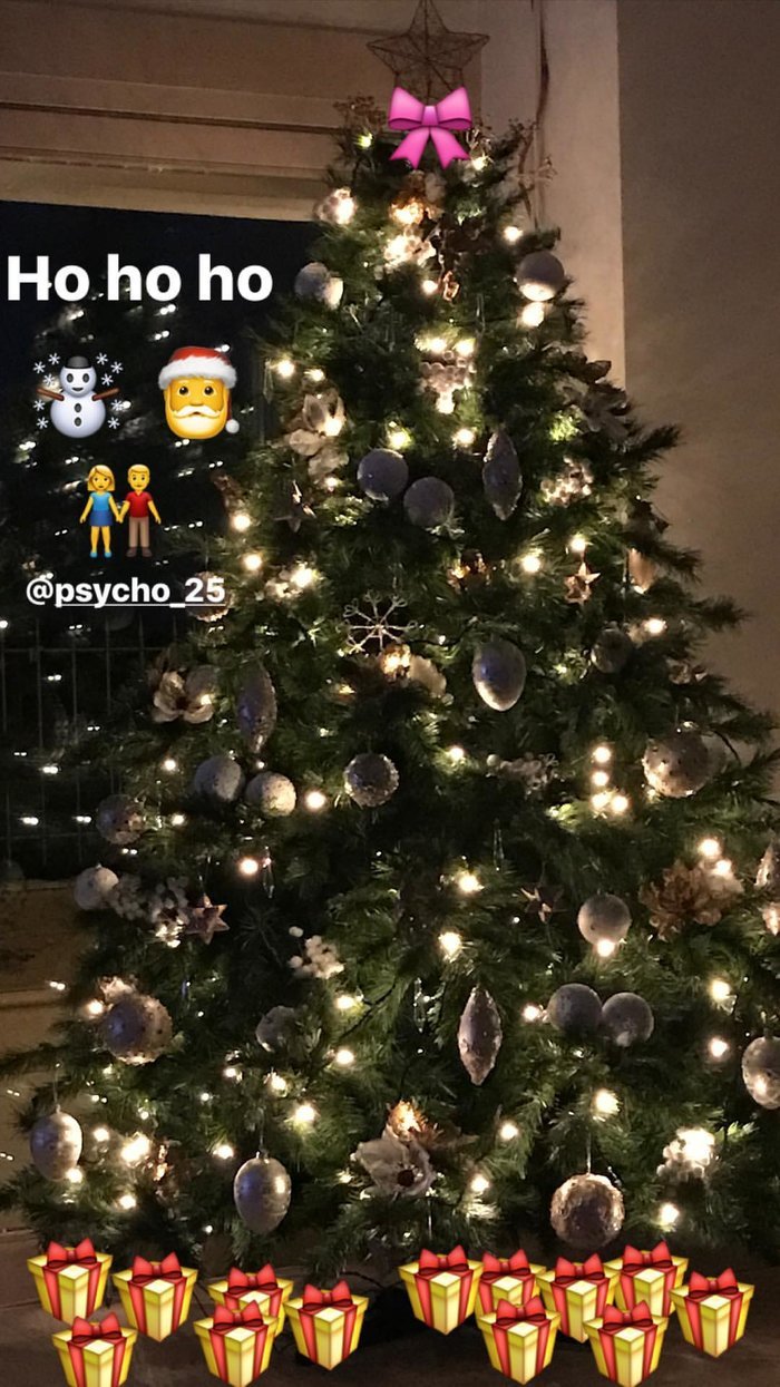 Η Ελεονώρα Μελέτη στόλισε το χριστουγεννιάτικο δέντρο με τον σύντροφό της [εικόνα] | iefimerida.gr 0