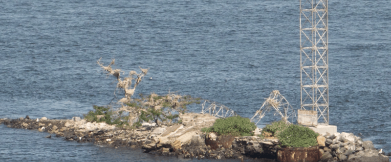 U Thant Island: Το μικροσκοπικό νησί της Νέας Υόρκης που απαγορεύεται να επισκεφτείτε [εικόνες & βίντεο] | iefimerida.gr 1