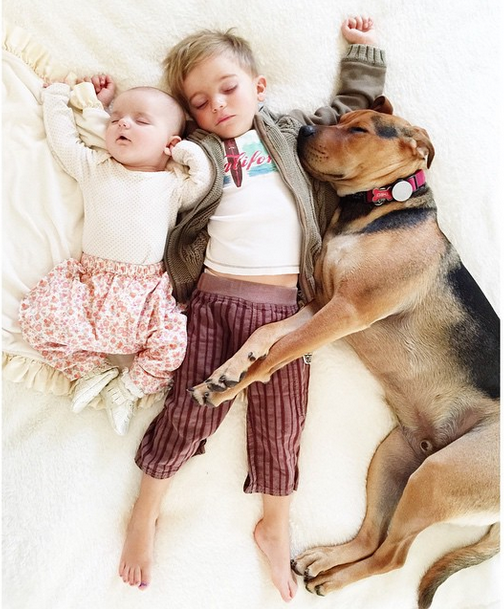 Η ιστορία αγάπης και ύπνου που έλιωσε το Ιντερνετ έχει πλέον τρεις πρωταγωνιστές -Ο σκύλος κοιμάται αγκαλιά με δυο μωρά [εικόνες] | iefimerida.gr 0