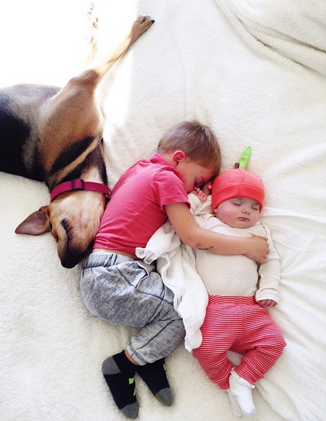 Η ιστορία αγάπης και ύπνου που έλιωσε το Ιντερνετ έχει πλέον τρεις πρωταγωνιστές -Ο σκύλος κοιμάται αγκαλιά με δυο μωρά [εικόνες] | iefimerida.gr 9