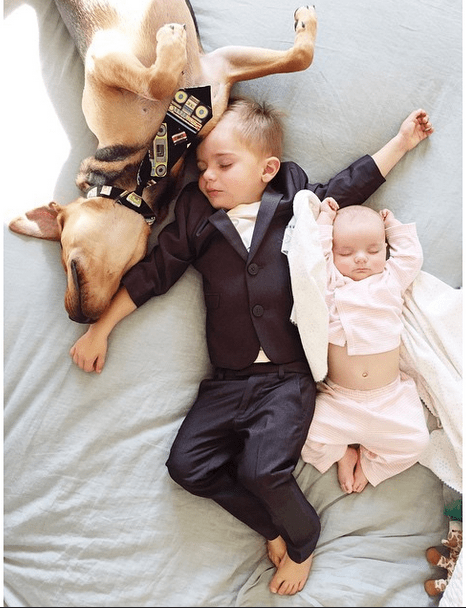 Η ιστορία αγάπης και ύπνου που έλιωσε το Ιντερνετ έχει πλέον τρεις πρωταγωνιστές -Ο σκύλος κοιμάται αγκαλιά με δυο μωρά [εικόνες] | iefimerida.gr 11