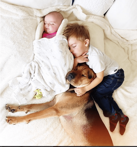 Η ιστορία αγάπης και ύπνου που έλιωσε το Ιντερνετ έχει πλέον τρεις πρωταγωνιστές -Ο σκύλος κοιμάται αγκαλιά με δυο μωρά [εικόνες] | iefimerida.gr 12