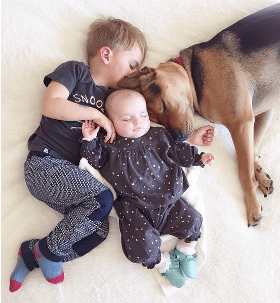 Η ιστορία αγάπης και ύπνου που έλιωσε το Ιντερνετ έχει πλέον τρεις πρωταγωνιστές -Ο σκύλος κοιμάται αγκαλιά με δυο μωρά [εικόνες] | iefimerida.gr 2