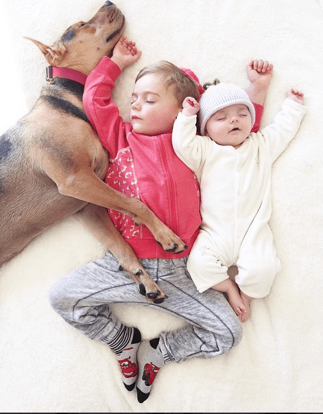 Η ιστορία αγάπης και ύπνου που έλιωσε το Ιντερνετ έχει πλέον τρεις πρωταγωνιστές -Ο σκύλος κοιμάται αγκαλιά με δυο μωρά [εικόνες] | iefimerida.gr 3