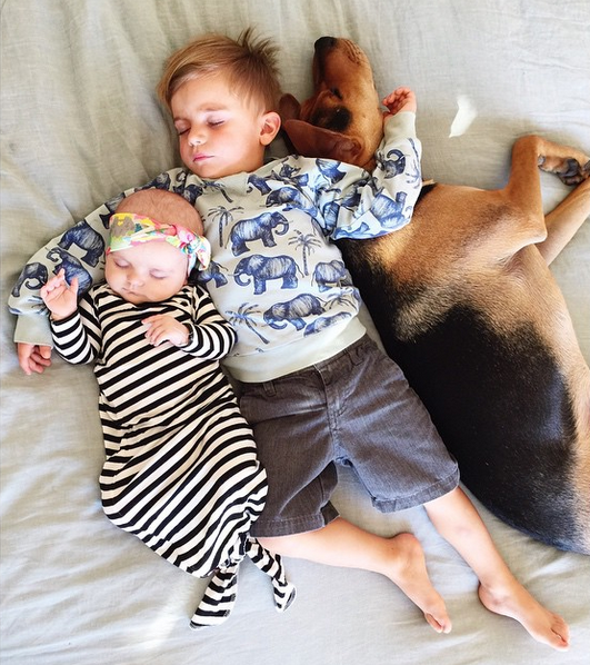 Η ιστορία αγάπης και ύπνου που έλιωσε το Ιντερνετ έχει πλέον τρεις πρωταγωνιστές -Ο σκύλος κοιμάται αγκαλιά με δυο μωρά [εικόνες] | iefimerida.gr 4