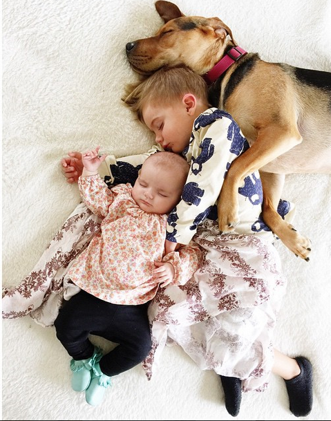 Η ιστορία αγάπης και ύπνου που έλιωσε το Ιντερνετ έχει πλέον τρεις πρωταγωνιστές -Ο σκύλος κοιμάται αγκαλιά με δυο μωρά [εικόνες] | iefimerida.gr 8