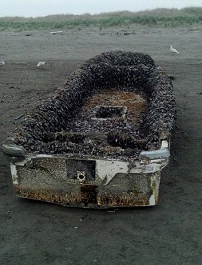 Τρομακτική βάρκα από τη Φουκοσίμα ξεβράστηκε στις ΗΠΑ [εικόνες] | iefimerida.gr 0