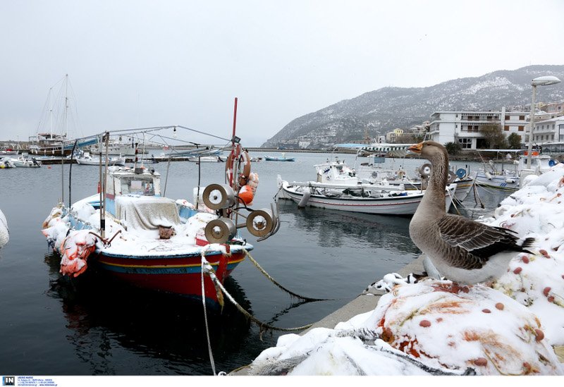 Πάγωσαν από τα χιόνια ιστιοπλοϊκά, βάρκες και καΐκια -Μοναδικά καρέ σε Σκόπελο, Μυτιλήνη και Αργολίδα [εικόνες] | iefimerida.gr 7