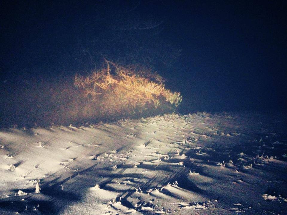 Το έστρωσε στη Βόρεια Ελλάδα -Πού χρειάζονται αντιολισθητικές αλυσίδες [εικόνες] | iefimerida.gr 0