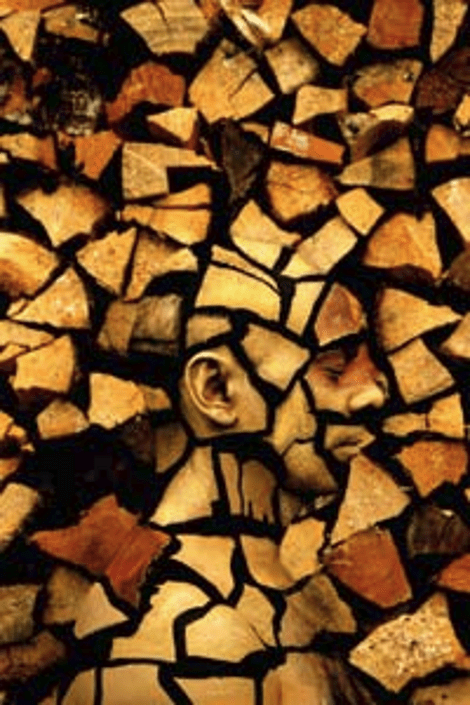 Κι όμως το μάτι ξεγελάει: Αυτό δεν είναι βάτραχος [εικόνες&βίντεο] | iefimerida.gr 2