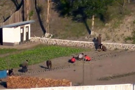 Εικόνες σοκ από τη Βόρεια Κορέα – Παιδί λιμοκτονεί πεσμένο στην άκρη του δρόμου [εικόνες] | iefimerida.gr 1