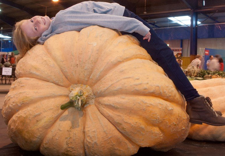 Ετήσια έκθεση με τα μεγαλύτερα λαχανικά του κόσμου [εικόνες] | iefimerida.gr 4