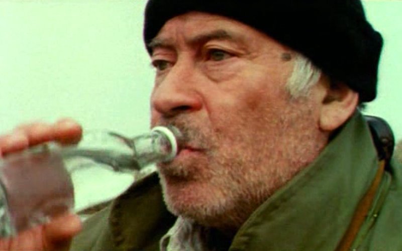 Καλέ μου άνθρωπε: Τρία χρόνια χωρίς τον Θανάση Βέγγο [εικόνες&βίντεο] | iefimerida.gr 3