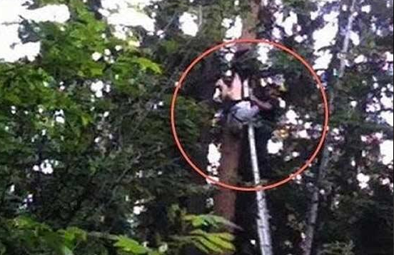 Φρίκη στην Ινδία από τον ομαδικό βιασμό δύο κοριτσιών -Βρέθηκαν κρεμασμένες από δέντρο [εικόνες] | iefimerida.gr 2