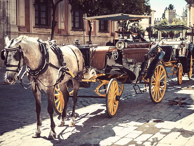 Η νέα μόδα με τους VIF: Οι φοιτητές της χλιδής πηγαίνουν στο πανεπιστήμιο με πανάκριβα αυτοκίνητα και ελικόπτερα [εικόνες] | iefimerida.gr 3