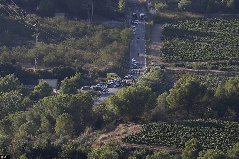 Ο «πολίτης Χ» οδήγησε στη σύλληψη του Αμπουγιακούμπ σε αμπελώνα -Νεκρός και ο ιμάμης | iefimerida.gr 0