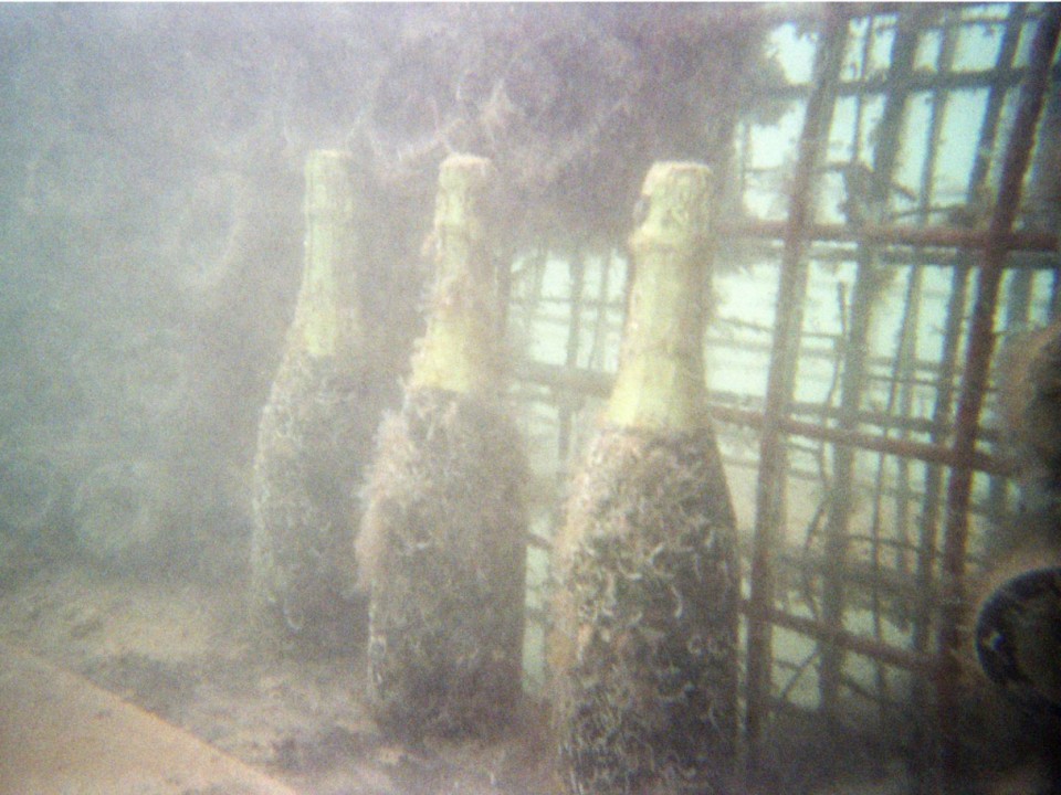 Ονειρεμένο οινοποιείο συντηρεί τα κρασιά κάτω από τη θάλασσα -Βουτάς και πίνεις [εικόνες]  | iefimerida.gr 3