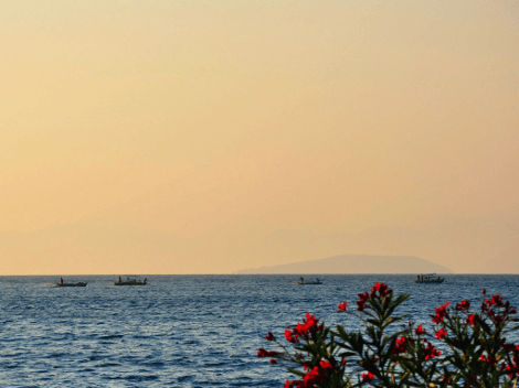 Η βουλευτής της ΔΗΜΑΡ Νίκη Φούντα έγινε ξενοδόχος -Πολυτελείς κατοικίες σε βιομηχανικό στιλ με απέραντη θέα στον Αμβρακικό [εικόνες] | iefimerida.gr 12