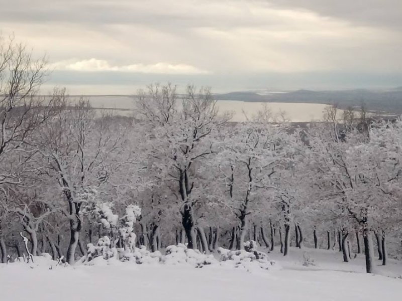 Στα λευκά η χώρα, προβλήματα από την κακοκαιρία – Χιόνια και χαμηλές θερμοκρασίες και σήμερα [εικόνες&βίντεο] | iefimerida.gr 24