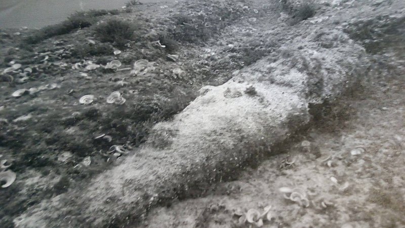 Ελεγχόμενη έκρηξη σε ξεχασμένο βλήμα του Β’ Παγκοσμίου Πολέμου σε παραλία της Κρήτης [εικόνες & βίντεο] | iefimerida.gr 1