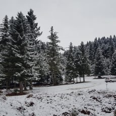Χιονίζει από το πρωί της Πέμπτης σε όλη την Ελλάδα -Πού θα κάνουν λευκά Χριστούγεννα | iefimerida.gr 0