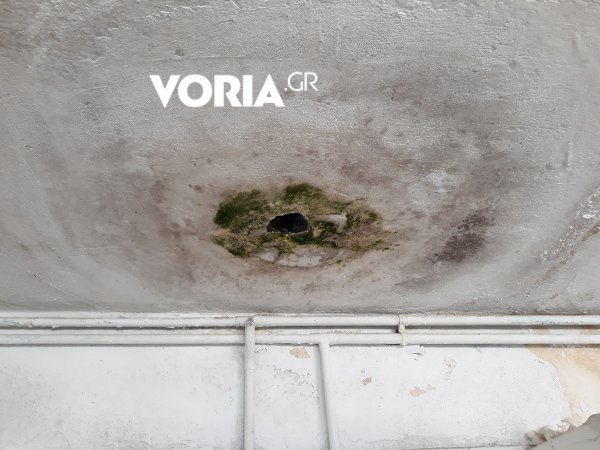 Σε άθλια κατάσταση οι εστίες στο ΑΠΘ - Μούχλα, δυσωδία και εγκατάλειψη [εικόνες & βίντεο] | iefimerida.gr 1