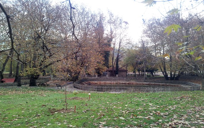 Σπάνια είδη φυτών στολίζουν τον Βοτανόκηπο Κεφαλοβρύσου στο Καρπενήσι [εικόνες] | iefimerida.gr 0