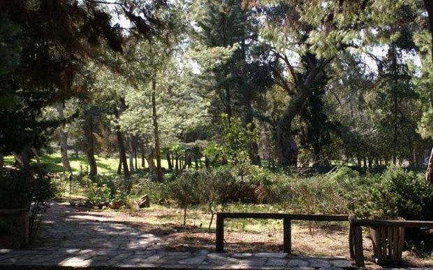 10 συν 2 προτάσεις για να πιάσετε τον Μάη -Πράσινες οάσεις στην Αττική [εικόνες] | iefimerida.gr 12