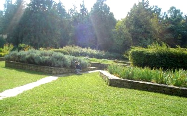 10 συν 2 προτάσεις για να πιάσετε τον Μάη -Πράσινες οάσεις στην Αττική [εικόνες] | iefimerida.gr 11