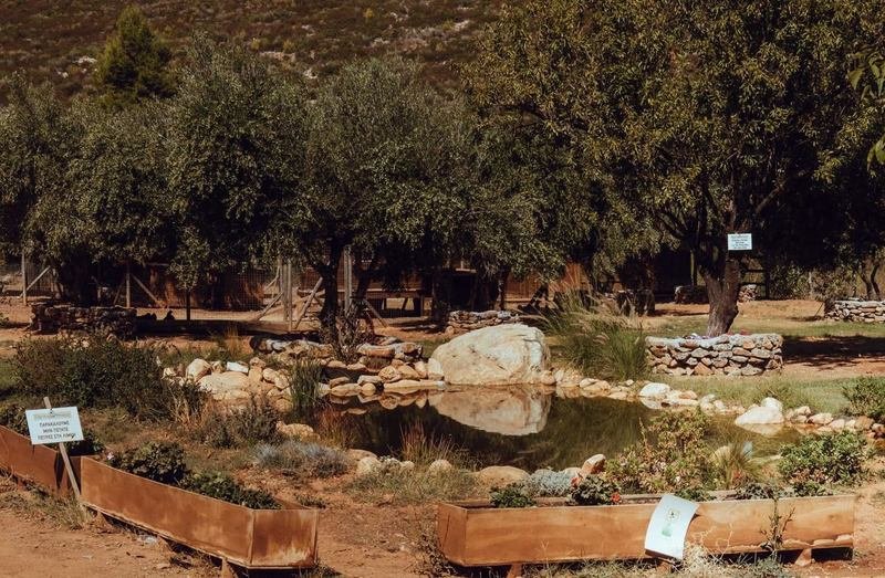 Ο Πετρετζίκης φτιάχνει τυροκαυτερή, τζατζίκι και μελιτζανοσαλάτα στο NBC [εικόνες]  | iefimerida.gr 3