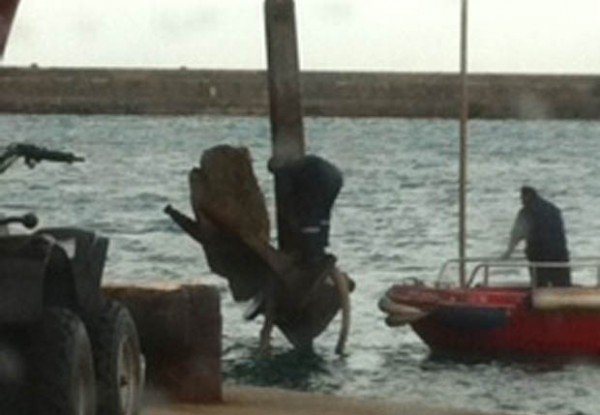  Η άγκυρα του πλοίου «Κρήτη ΙΙ» ξήλωσε βράχο στο λιμάνι των Χανίων [εικόνες] | iefimerida.gr 0