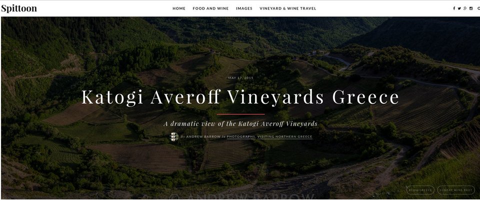 Βρετανός οινολόγος επισκέπτεται τους αμπελώνες του Αβέρωφ στο Μέτσοβο και μαγεύεται [εικόνα] | iefimerida.gr 1