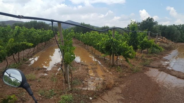Καταστροφές από τη βροχόπτωση στην Κρήτη -Εκλεισαν δρόμοι, πλημμύρισαν χωράφια [εικόνες & βίντεο] | iefimerida.gr 0