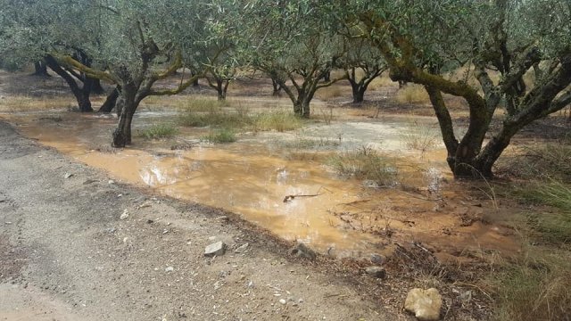 Καταστροφές από τη βροχόπτωση στην Κρήτη -Εκλεισαν δρόμοι, πλημμύρισαν χωράφια [εικόνες & βίντεο] | iefimerida.gr 2