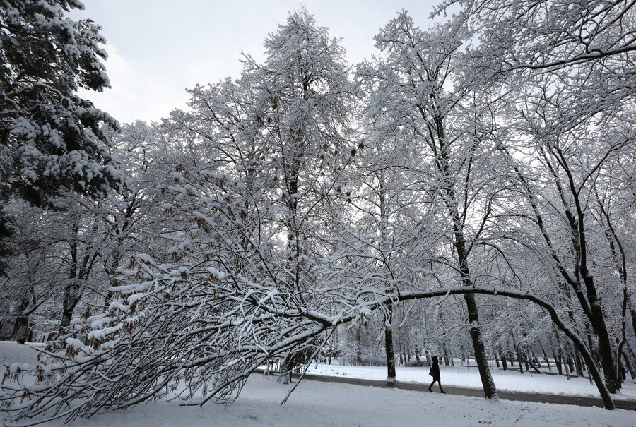 Σε κλοιό χιονιά η Ευρώπη: Από Λονδίνο μέχρι Γερμανία -Εντυπωσιακές εικόνες | iefimerida.gr 8