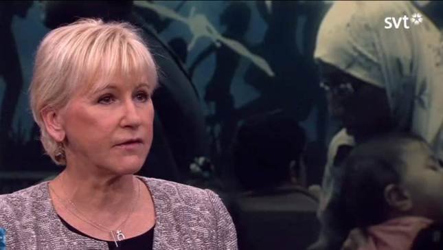 Σουηδή υπουργός ξεσπά σε δάκρυα για το νεκρό προσφυγόπουλο [εικόνες & βίντεο] | iefimerida.gr 0