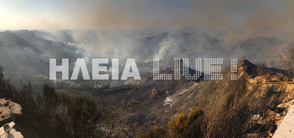 Κρανίου τόπος στην Ηλεία από το πέρασμα της φωτιάς [εικόνα] | iefimerida.gr 0