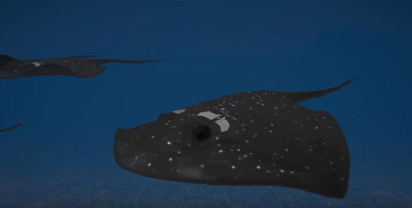 «Tαραντούλα», το νέο όπλο του τουρκικού στρατού, μετά τα «Σαλάχια» [βίντεο] | iefimerida.gr 0