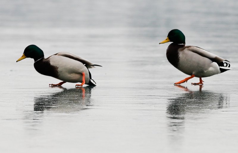 Εκπληκτικές φωτογραφίες από όλο τον κόσμο -Η μαγική όψη της κακοκαιρίας [εικόνες] | iefimerida.gr 13