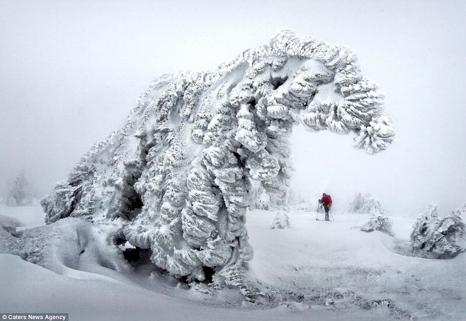 Στους -35 βαθμούς: Εκεί που το χιόνι... καταπίνει τον ήλιο και ντύνει τα πάντα στα λευκά [εικόνες] | iefimerida.gr 9