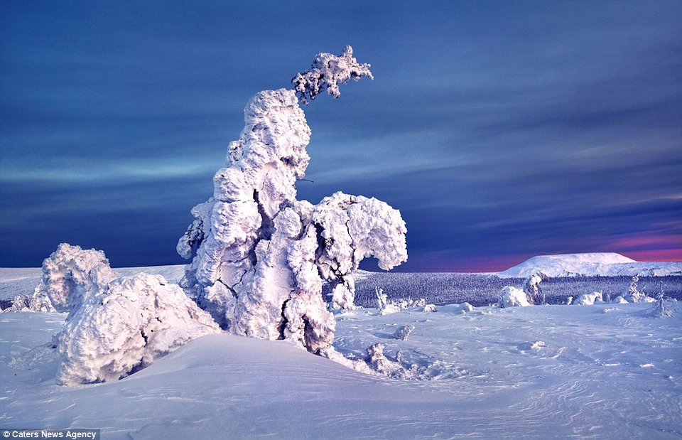 Στους -35 βαθμούς: Εκεί που το χιόνι... καταπίνει τον ήλιο και ντύνει τα πάντα στα λευκά [εικόνες] | iefimerida.gr 8