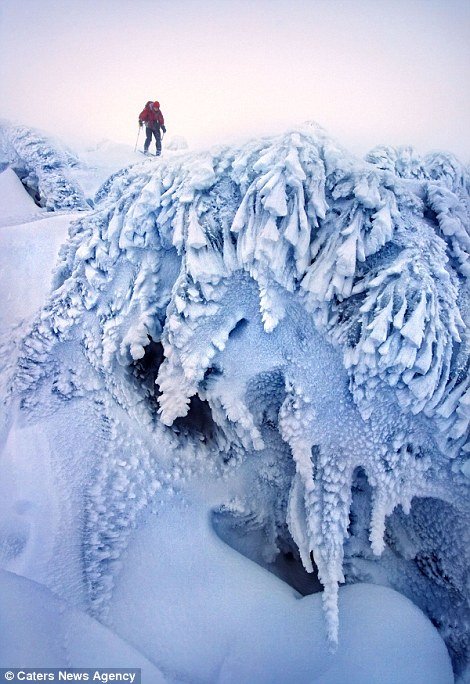 Στους -35 βαθμούς: Εκεί που το χιόνι... καταπίνει τον ήλιο και ντύνει τα πάντα στα λευκά [εικόνες] | iefimerida.gr 5