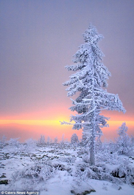 Στους -35 βαθμούς: Εκεί που το χιόνι... καταπίνει τον ήλιο και ντύνει τα πάντα στα λευκά [εικόνες] | iefimerida.gr 4